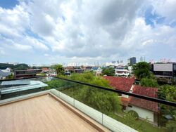 Braddell Heights Estate (D13), Detached #591418311
